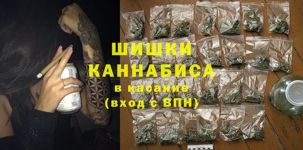 индика Армянск