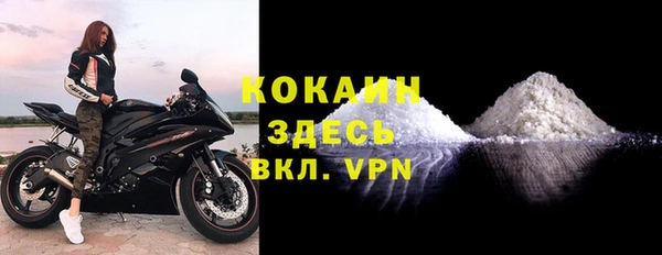 индика Армянск