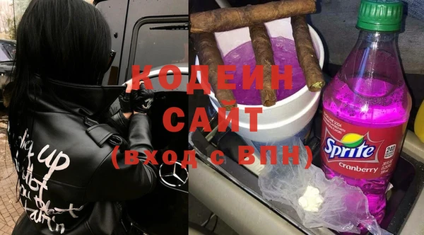 индика Армянск