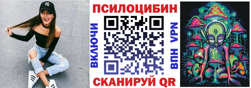 Галлюциногенные грибы Psilocybe  где купить наркоту  blacksprut ТОР  Соль-Илецк 